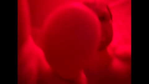 Mike online show from 15, 10, 2025