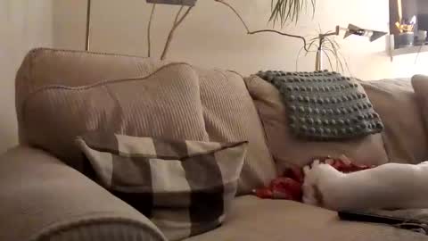 Snapshot of rustyx22 chatting on 31, 1, 2025 Rusty online show from 31, 1, 2025