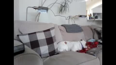 Snapshot of rustyx22 chatting on 6, 3, 2025 Rusty online show from 6, 3, 2025