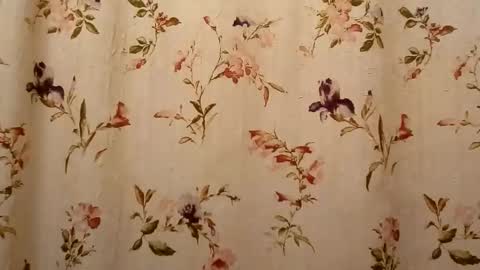 Snapshot of rustyx22 chatting on 17, 9, 2025 Rusty online show from 17, 9, 2025