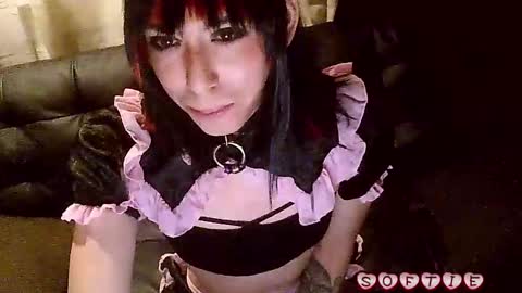 Snapshot of s0ft_s3rv chatting on 8, 11, 2025 Softie 3 online show from 8, 11, 2025