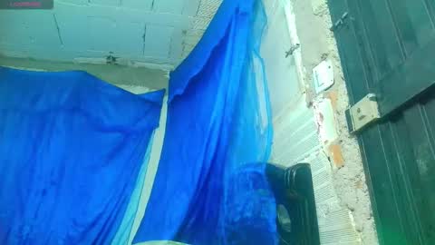 sofia online show from 6, 11, 2025