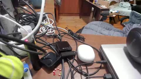 1141323  my Lord Mister Max   moms treasure online show from 27, 11, 2025