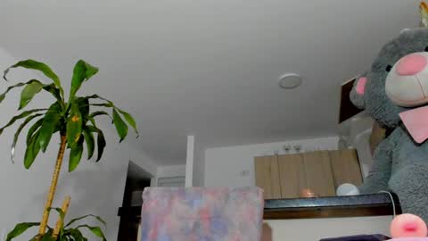 Sara  online show from 7, 12, 2024