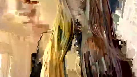 PupTwink online show from 15, 1, 2026