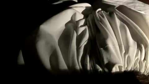 sainiboy9999 online show from 11, 11, 2025