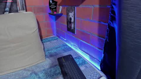 sainix_ online show from 9, 12, 2024