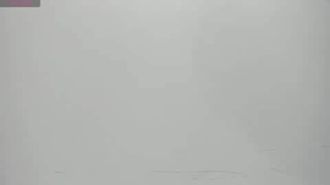 SALVATORE online show from 14, 2, 2025