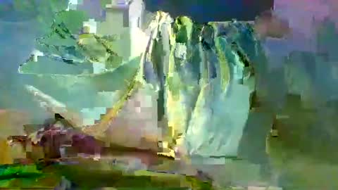 sam223382879 online show from 27, 12, 2024