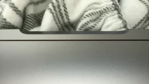 Playful Sammie online show from 4, 5, 2026