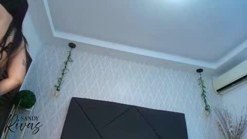 Snapshot of sandy_rivas chatting on 10, 1, 2026 SAM online show from 10, 1, 2026