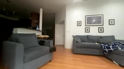 Snapshot of santanacd chatting on 21, 2, 2026 Santana online show from 21, 2, 2026