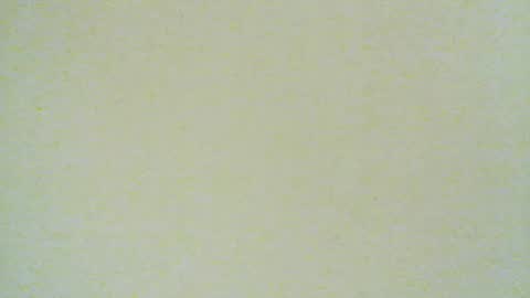 Snapshot of santiagodeamor7077 chatting on 4, 8, 2026 santiagodeamor7077 online show from 4, 8, 2026