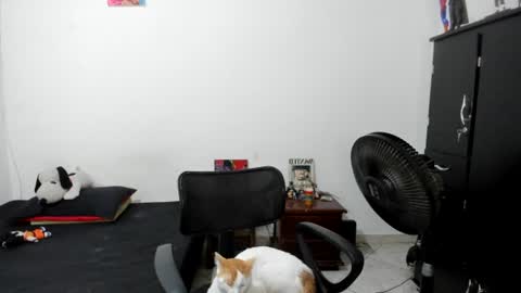 Snapshot of santiceballo chatting on 17, 7, 2026 Julius Novachrono online show from 17, 7, 2026