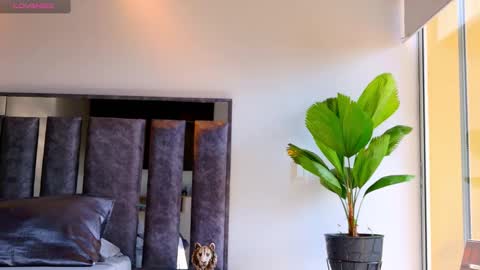 Snapshot of santin_seans chatting on 5, 2, 2026 Santiago Seans online show from 5, 2, 2026