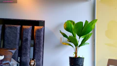 Snapshot of santin_seans chatting on 12, 2, 2026 Santiago Seans online show from 12, 2, 2026