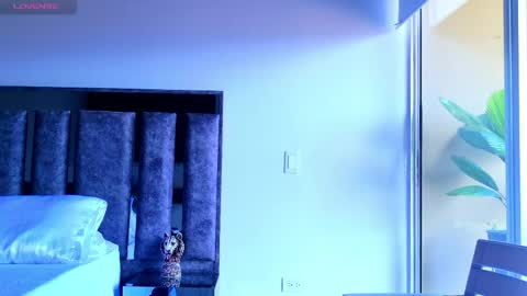 Santiago Seans online show from 1, 5, 2026