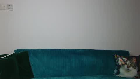 Im Sara I am happy to be here  online show from 30, 4, 2026