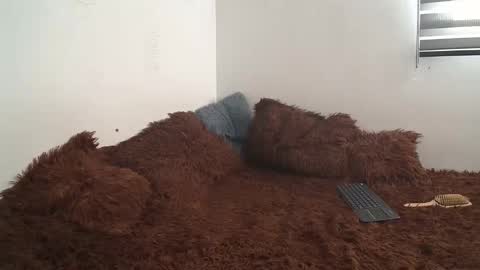 sara and thomas online show from 10, 1, 2025