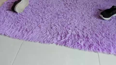 sarah  cinnamon online show from 18, 12, 2025