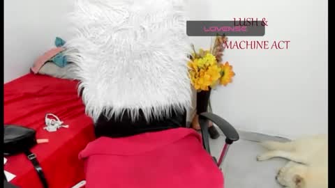 Sarah online show from 15, 5, 2026