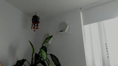 Saray  online show from 6, 2, 2026