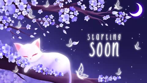 Sassy Sami Kittyn online show from 17, 2, 2025