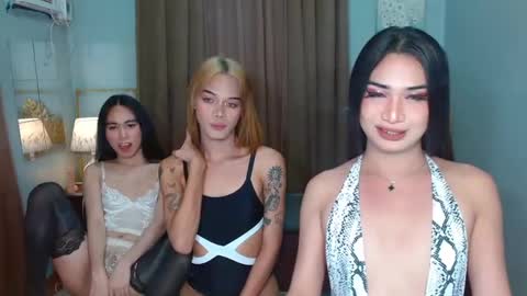 Sasha online show from 2, 12, 2024