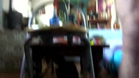 satur850 online show from 11, 12, 2024