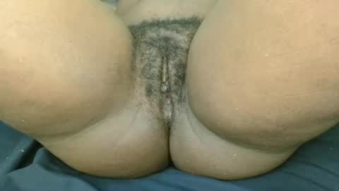 pety online show from 10, 6, 2026