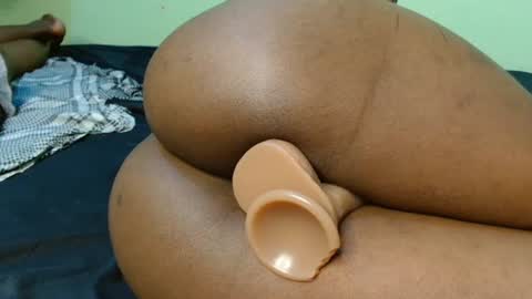 pety online show from 18, 6, 2026