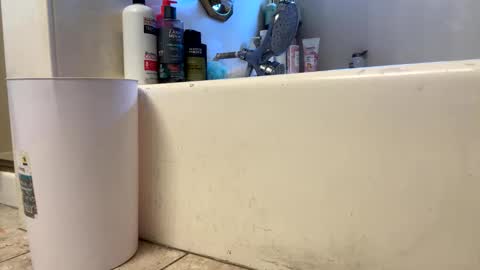 ElVergone online show from 1, 3, 2026