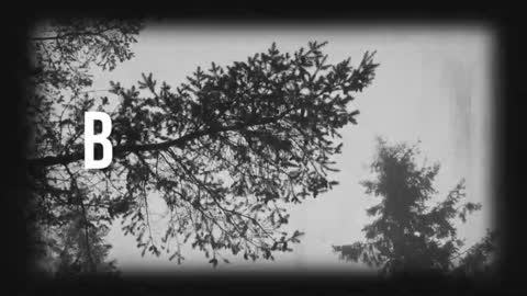 pronoun she. name Mary. age 21. online show from 19, 3, 2026