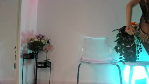 Amira online show from 7, 5, 2026