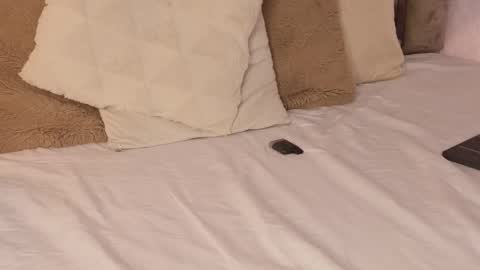 Scarleth  online show from 16, 10, 2025