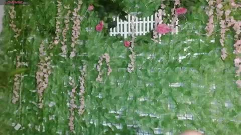 Scarlett Hot online show from 16, 1, 2025