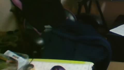 Snapshot of schnico chatting on 20, 10, 2025 schmidti online show from 20, 10, 2025