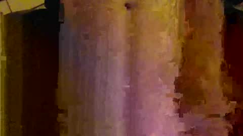 scott1usa online show from 24, 12, 2024