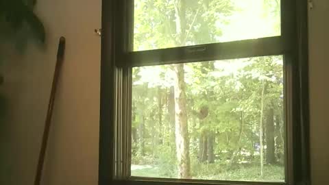 scottpbi52 online show from 15, 9, 2025