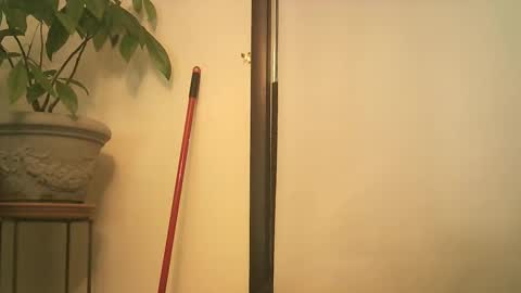 scottpbi52 online show from 25, 9, 2025