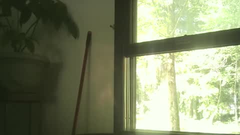 scottpbi52 online show from 30, 9, 2025