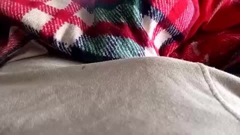 scotycar0408 online show from 20, 3, 2026