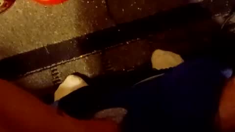 scruples99273286 online show from 5, 10, 2025