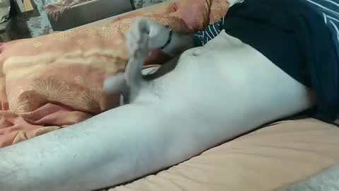 Snapshot of seb_aze chatting on 5, 2, 2025 seb online show from 5, 2, 2025