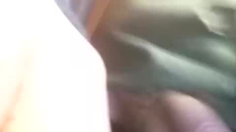 sebtin1979 online show from 24, 2, 2026