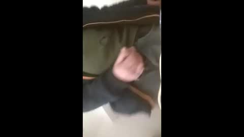 sebtin1979 online show from 2, 3, 2026