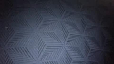 Sunny online show from 31, 1, 2026