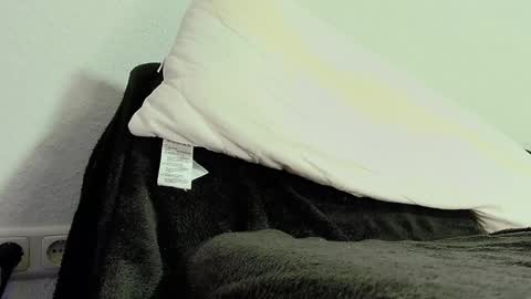 Anni online show from 3, 12, 2024