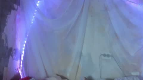 seductive_she_wolf online show from 6, 8, 2026