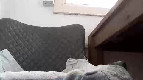 Snapshot of seekyle66 chatting on 10, 9, 2025 seekyle66 online show from 10, 9, 2025